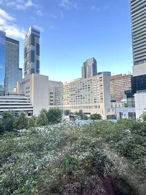 Best Location In Downtown- Walking To Eaton Centre, Nathan Phillips Square, Yonge-Dundas, Ikea,Transit Toronto Dış mekan fotoğraf